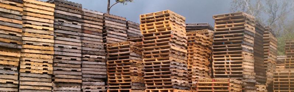 Stacks of Used Pallets at L & M Yard 